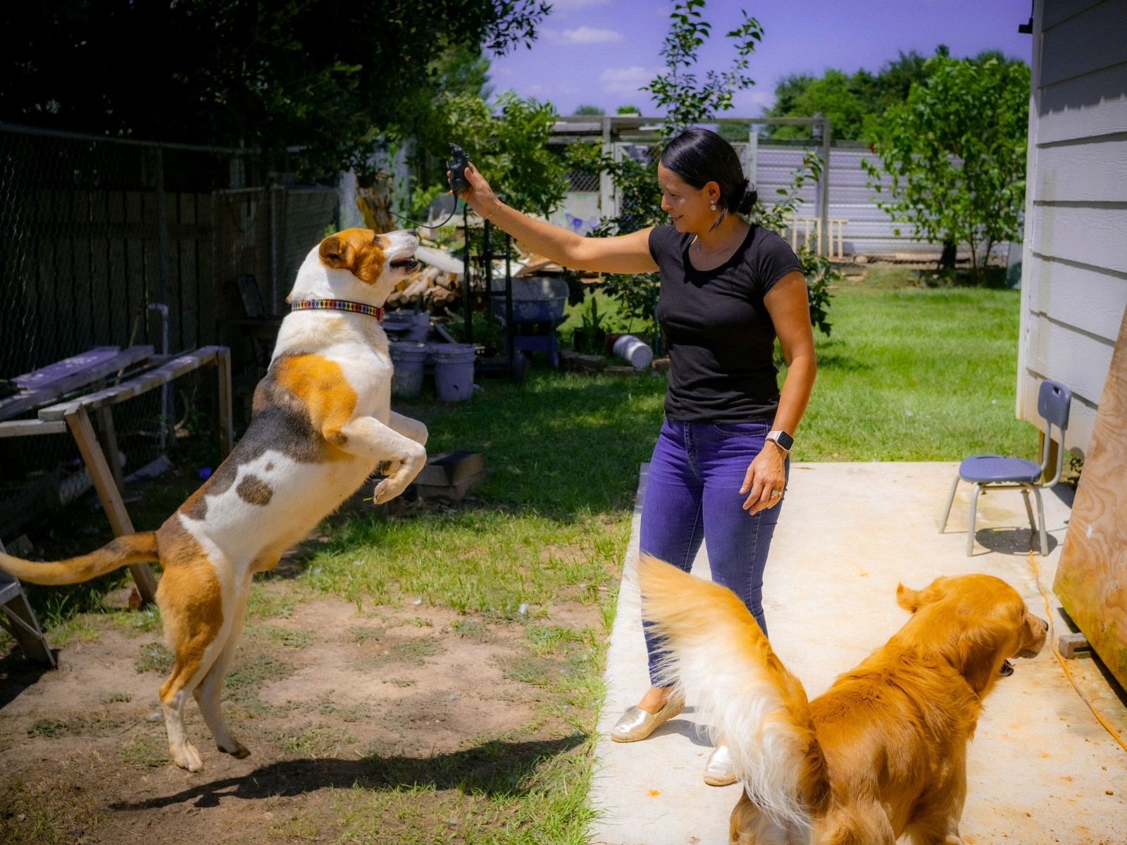 Guadalupe Perdomo juega con sus perros en el patio de su casa en Cleveland, Texas.