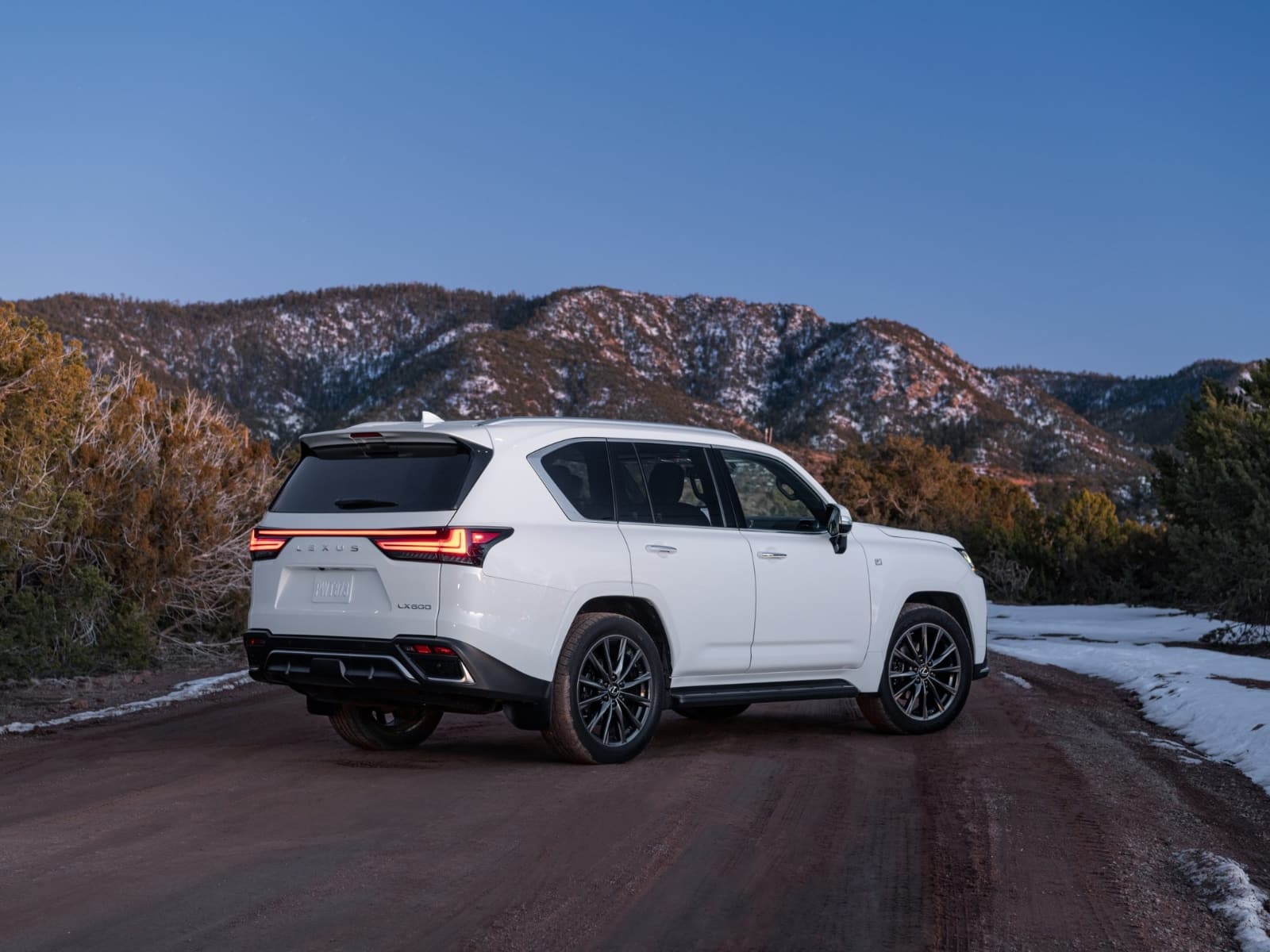 Vista trasera del Lexus LX 600 F Sport 2025