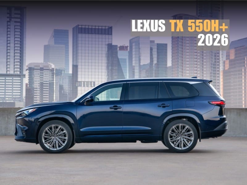 TX 550h+ de Lexus