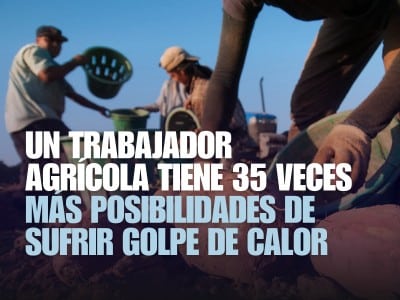 Trabajadores agrícola en jornada laboral