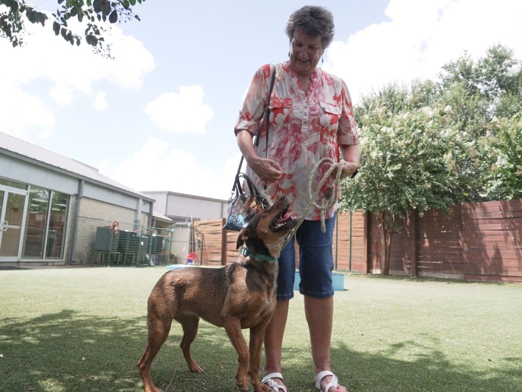 Señora junto a su mascota recientemente adoptada